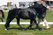 Brock Captain Jack, Royal Windsor 2011